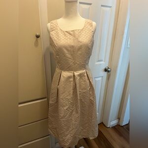 Elegant Cream Fabric